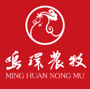 37000威尼斯