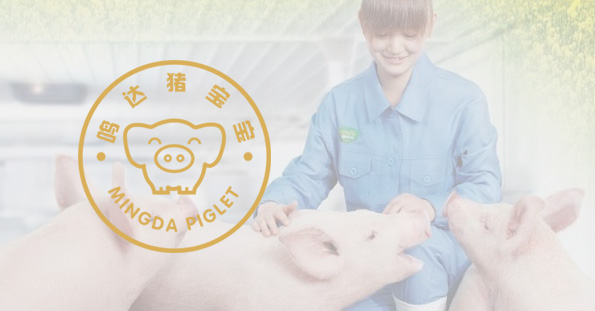 中国·37000威尼斯(股份)有限公司-官方网站