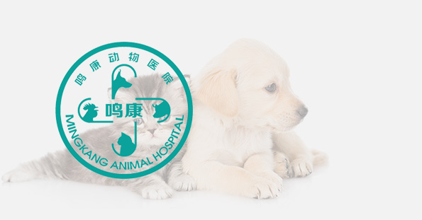 中国·37000威尼斯(股份)有限公司-官方网站